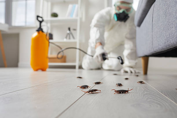 Post-Treatment Bed Bug Interceptor Monitoring in Winnie