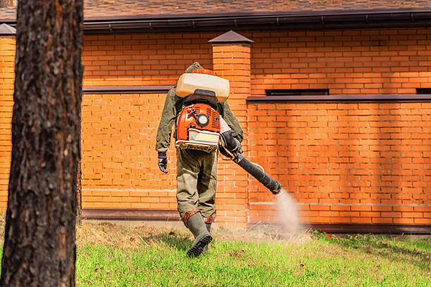 Bed Bug Clearance Verification and Documentation in Winnie
